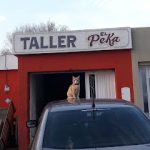 Taller «El Peka» y Servicio de grúa (Punta Alta)